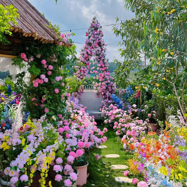 🌹【REPEATED FLOWERING】🌹CLIMBING ROSE SEEDS - HAPPINESS INCREASES