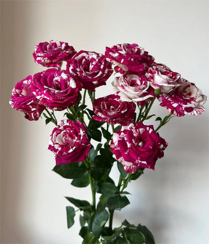Rare Twin Rose - Love Bubble Rose