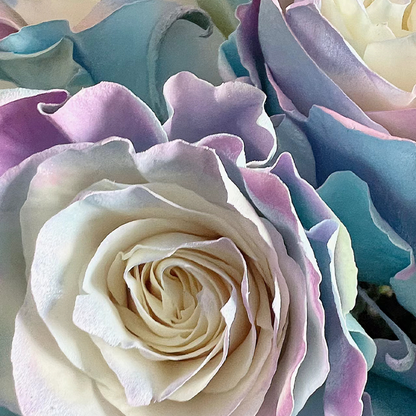 🌹Rare Rose - Fairy Tale