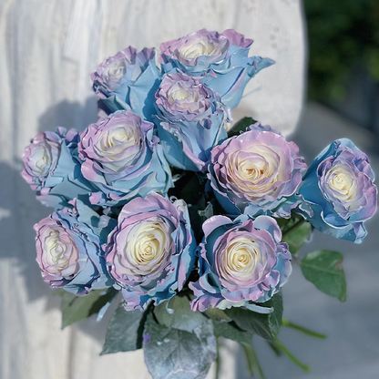 🌹Rare Rose - Fairy Tale