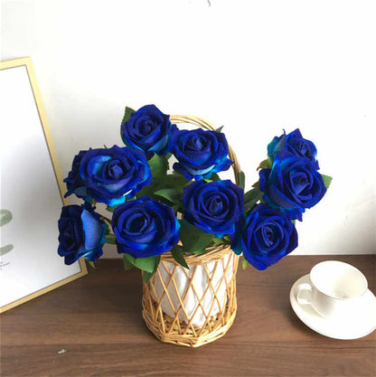 Rare Rose "Firebird" Seeds