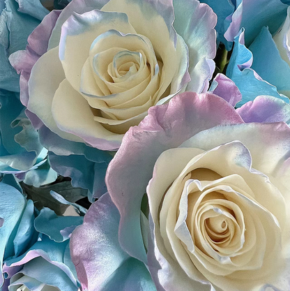 🌹Rare Rose - Fairy Tale