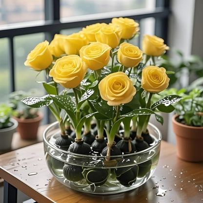 LOVILDS  ✨Hydroponic Rose Bulbs -Enchanting Fragrant🌹Can be grown in water or soil