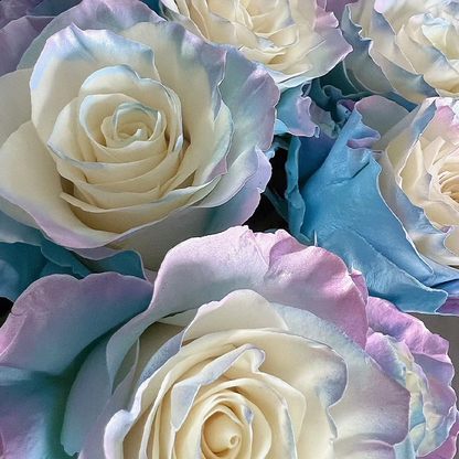 🌹Rare Rose - Fairy Tale