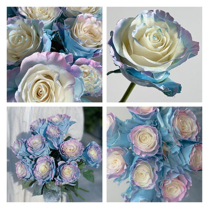 🌹Ecuadorian Roses - Rare Roses