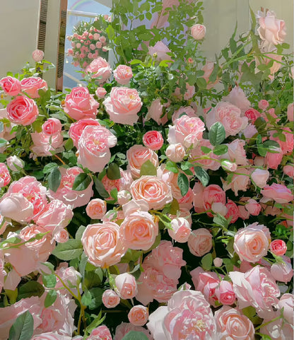 🌹【REPEATED FLOWERING】🌹CLIMBING ROSE SEEDS - HAPPINESS INCREASES